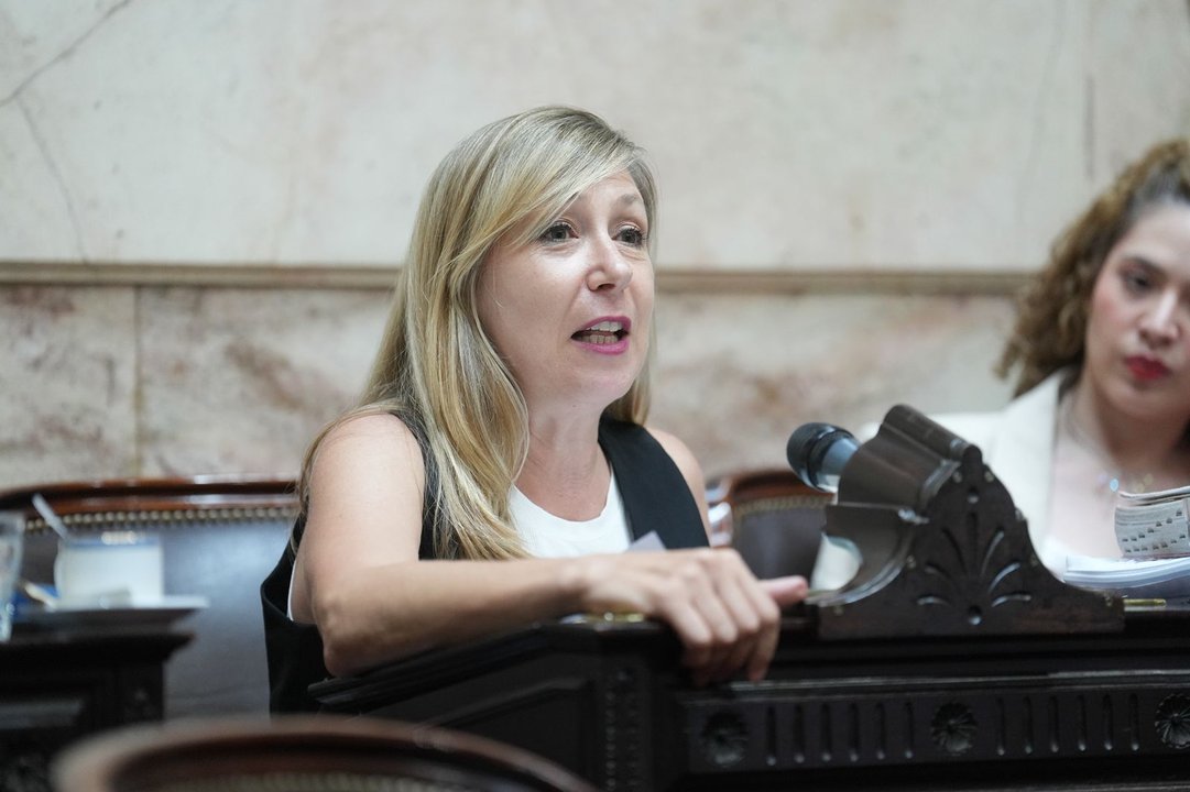 Myriam Bregman en el Congreso de la Nación