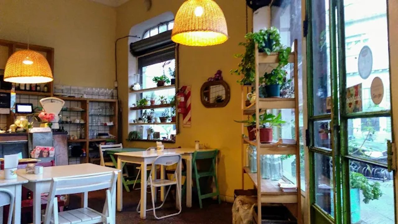 Fachada y platos de Suculentas en Villa Ortúzar