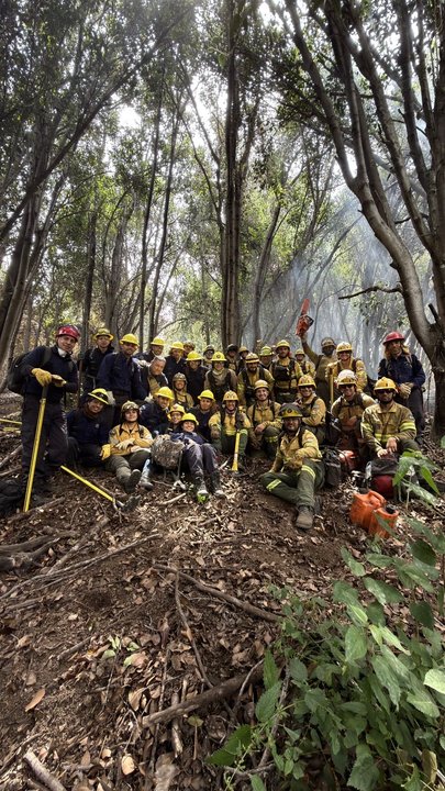 Incendio contenido en el Parque Nacional Los Alerces, en Chubut