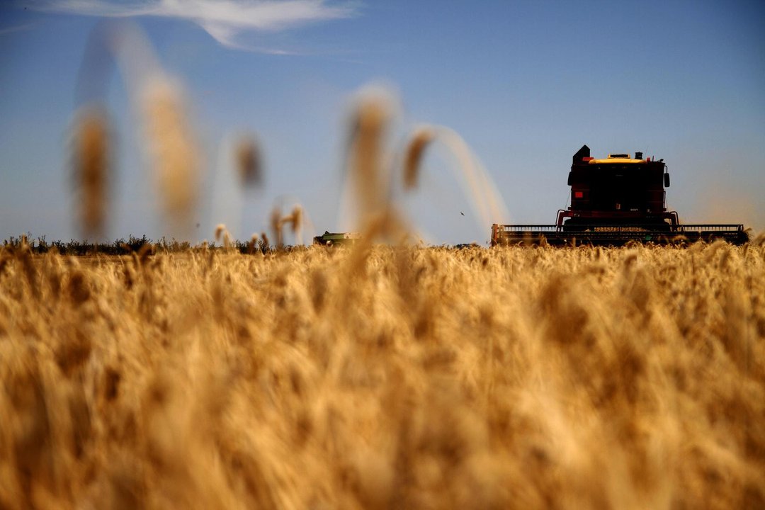 Cosecha y exportaciones del sector agroindustrial argentino