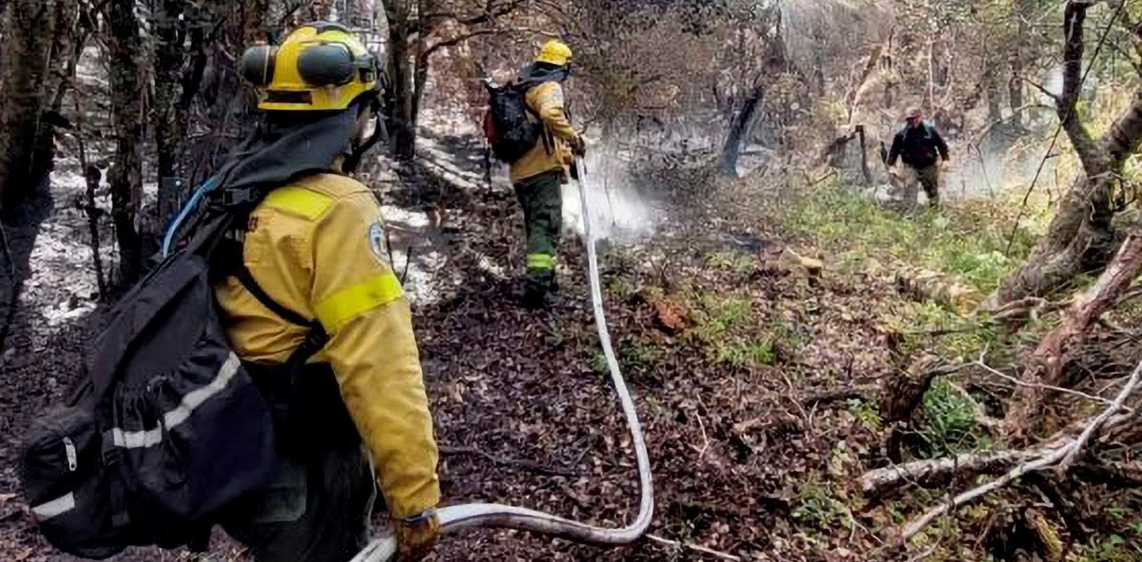 Operativo contra incendios forestales en el Parque Nacional Los Alerces
