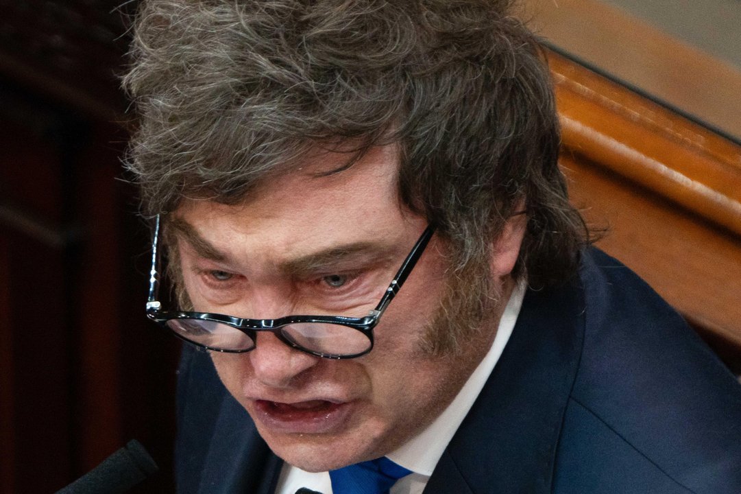Javier Milei durante la apertura de sesiones ordinarias en el Congreso