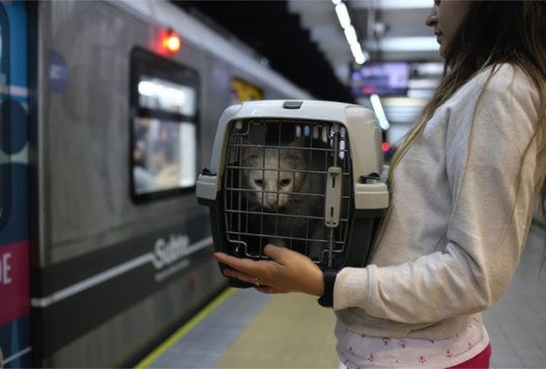 Pasajero con su mascota en el subte de la Ciudad de Buenos Aires