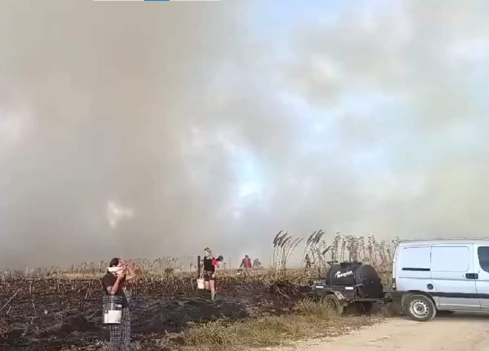 Bomberos combaten incendios forestales en Mar del Plata