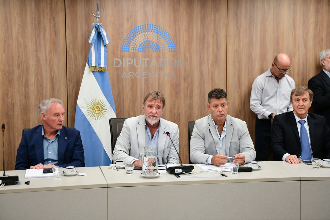 Sesión en la Cámara de Diputados de la Nación