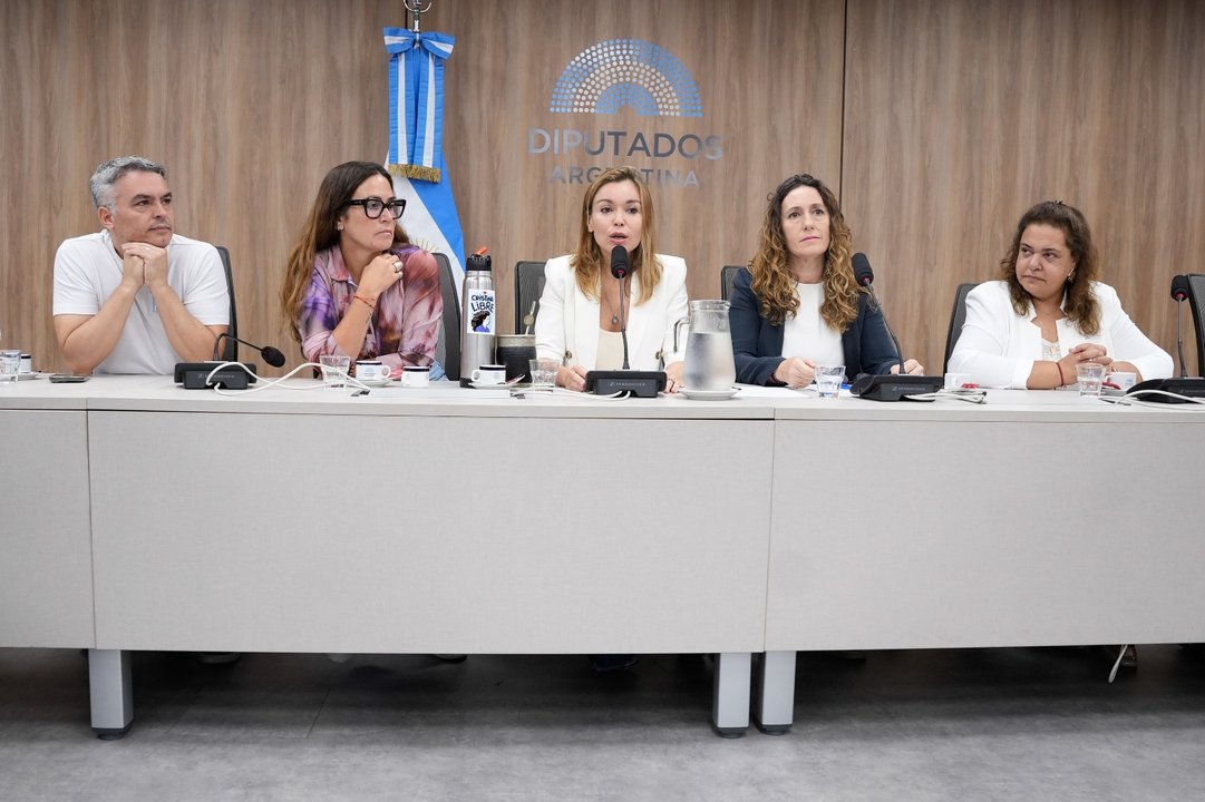 Reunión de comisión en la Cámara de Diputados