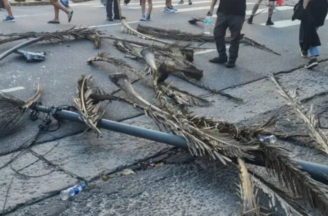 Poste de alumbrado caído durante la marcha del 24 de Marzo en Mar del Plata