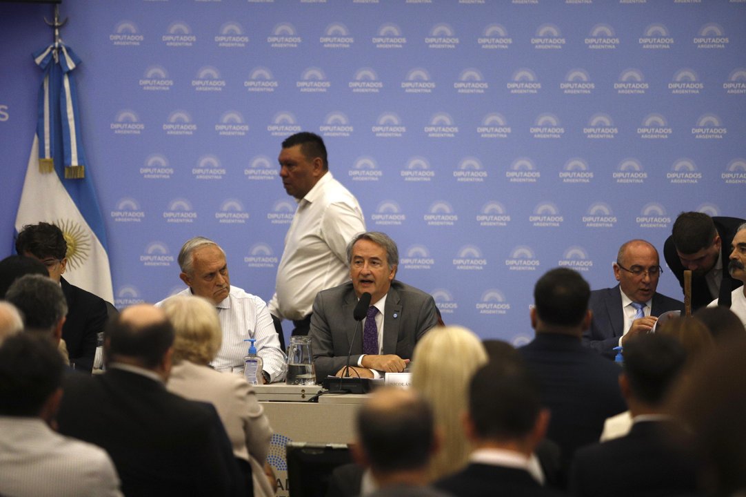 Audiencia pública en Diputados por la Ley de Glaciares
