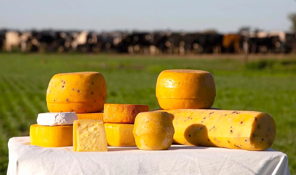 Degustación de quesos en la Ruta del Queso de Suipacha