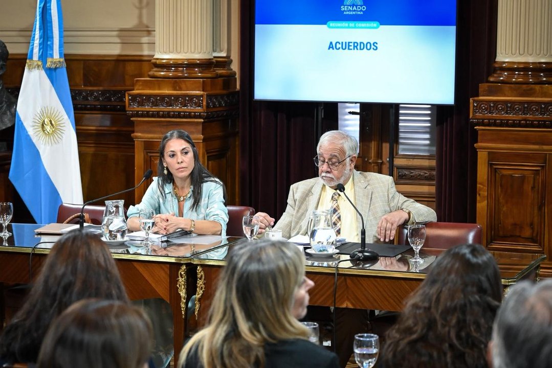 Lucila Crexell durante la audiencia en el Senado