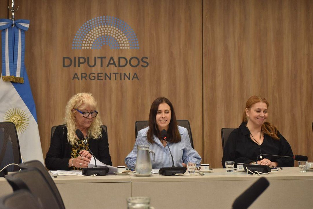 Carolina Basualdo en la Cámara de Diputados