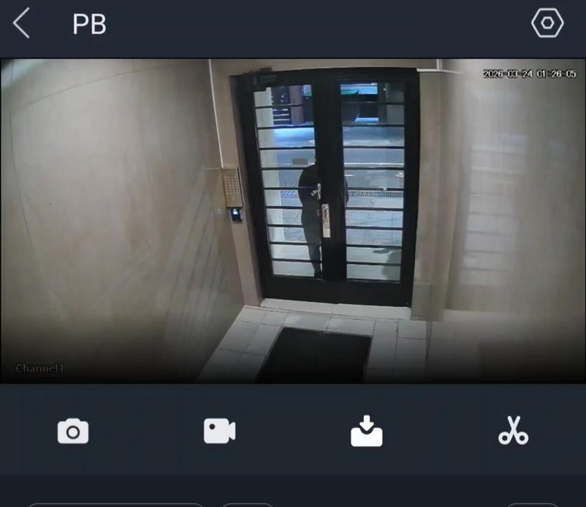 Detenidos por robar el hogar de un paciente con demencia