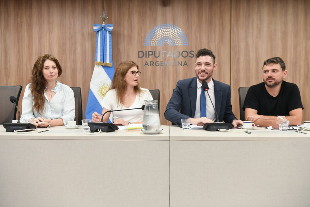 Diputados nacionales debaten en el recinto