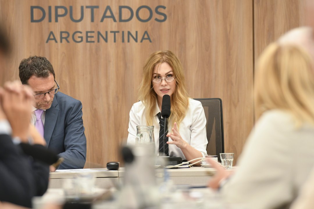 Lilia Lemoine: “Los recursos diplomáticos de este gobierno son mucho más fuertes que los del kirchnerismo”