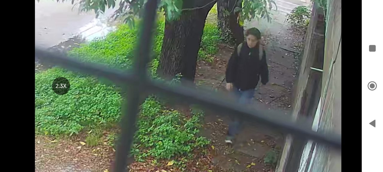 Marcha por Maitena Garófalo: Familiares sospechan de trata de personas