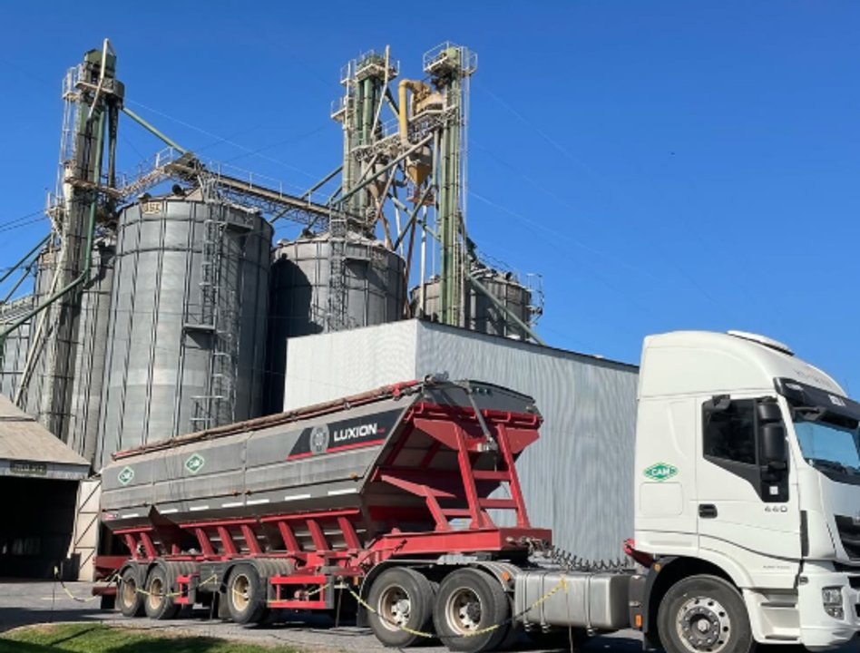 Silos con acopio de soja y trigo en el sector agropecuario argentino
