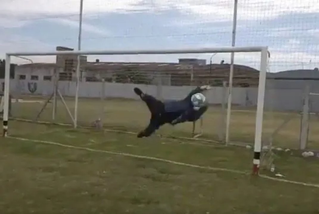 Milei rinde homenaje a los arqueros argentinos en un emotivo video