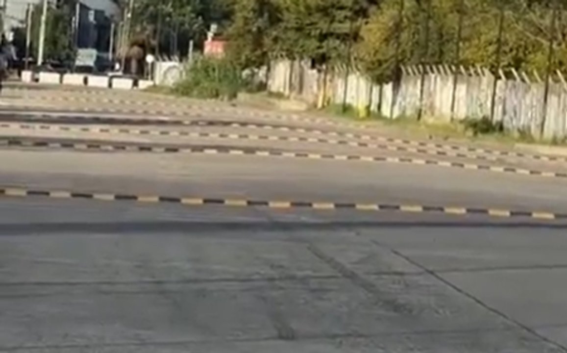 Reductores de velocidad en Tecnópolis para frenar las picadas