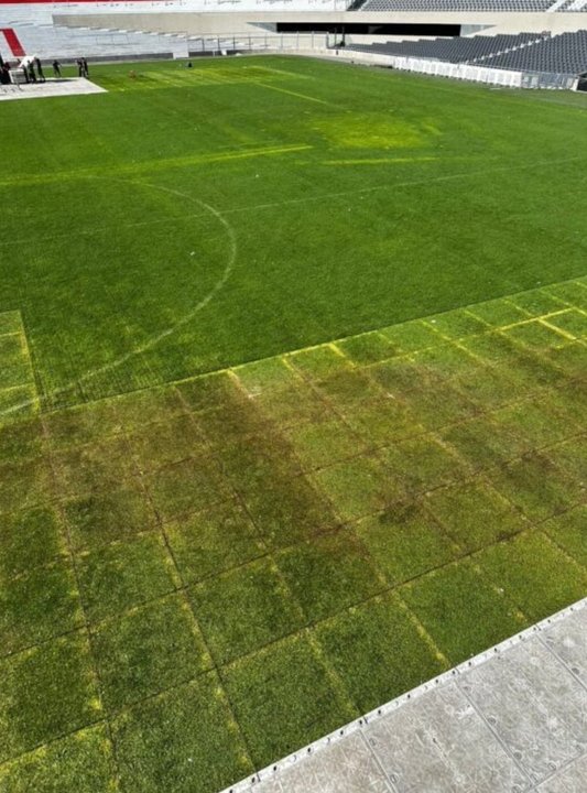 El estado del césped del Monumental preocupa a River previo al Superclásico