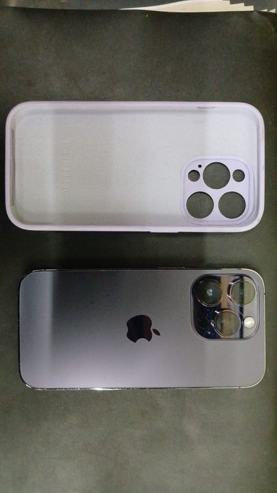 Palermo: desbaratan una banda de “pungas” que robaba en colectivos