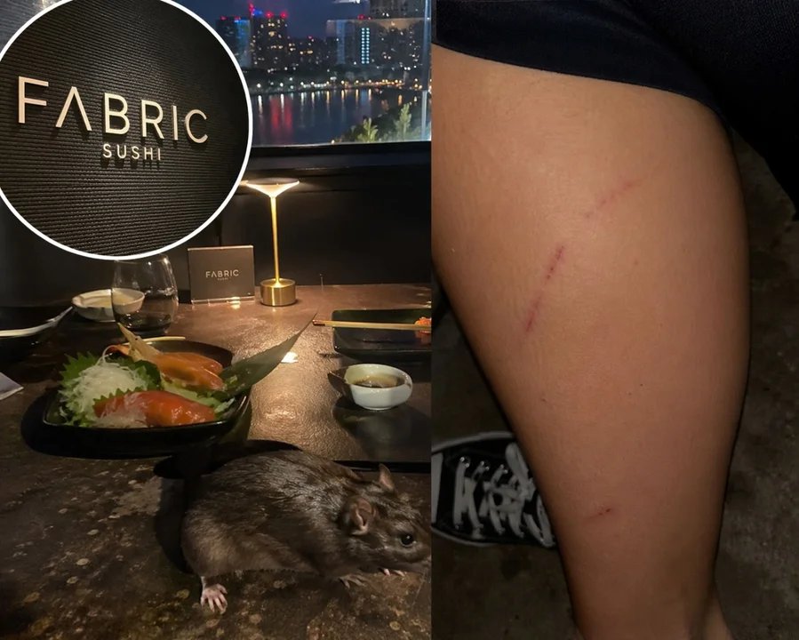 Repudio en las redes sociales por la aparición de ratas en una sucursal de Fabric Sushi