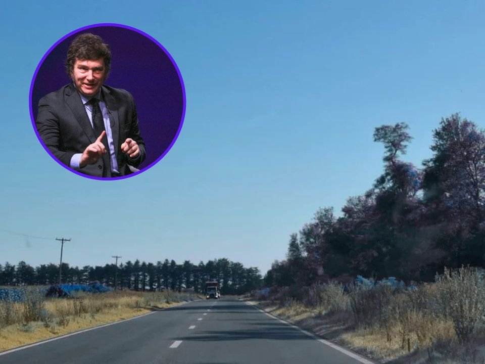 Javier Milei y obras en rutas nacionales