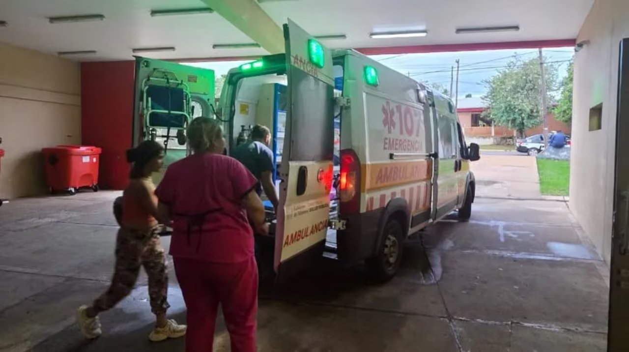 Horror en Misiones: un nene de 7 años fue atacado por siete perros mientras jugaba en su casa