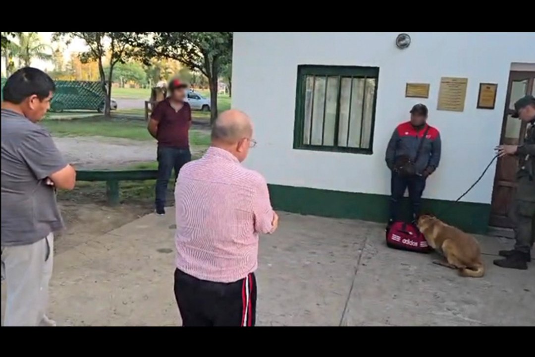 Condenan a dos bolivianos por transportar cocaína en Rafaela