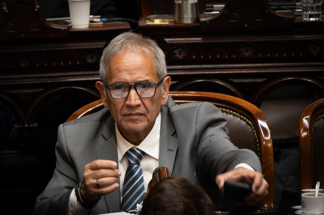 Palazzo y su desopilante alusión a “los therians que se autoperciben leones”