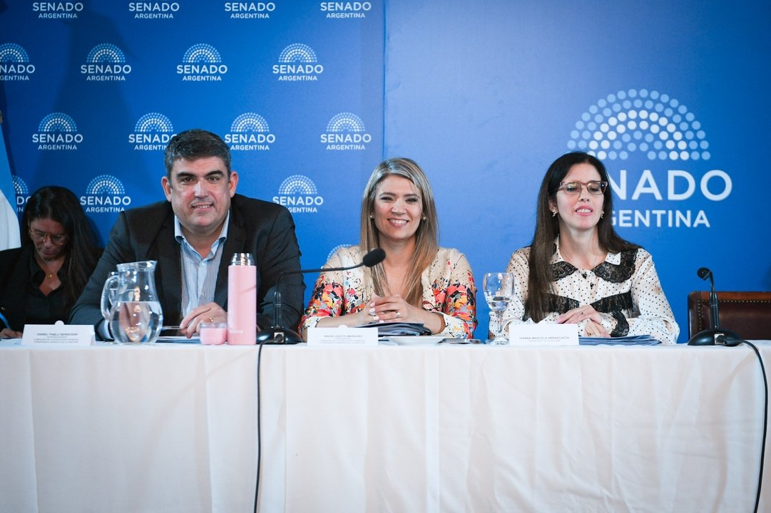 Salud pide al Senado aprobar cambios que habilitan internaciones involuntarias y priorizan evaluación médica