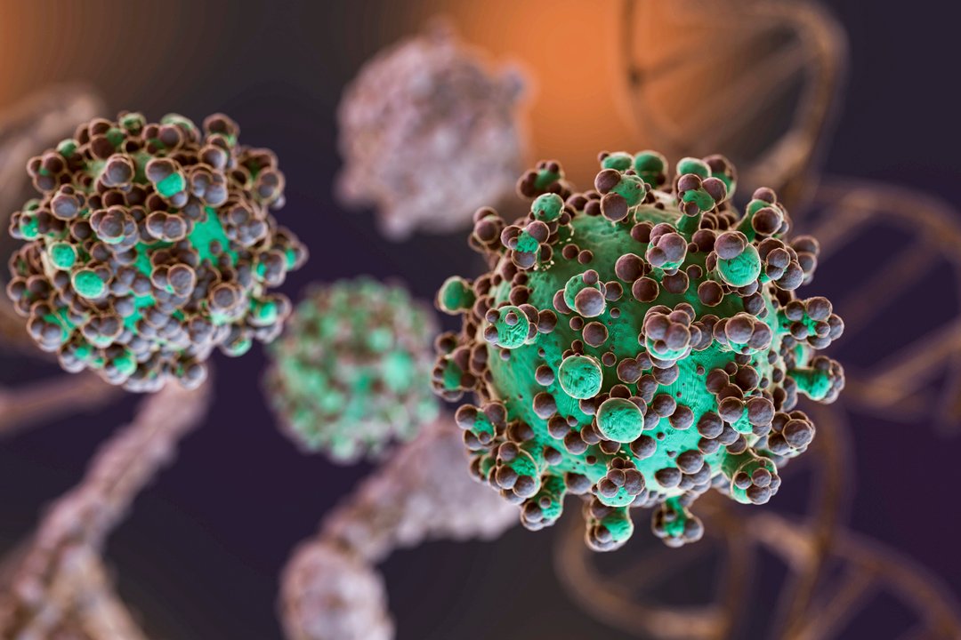 Hantavirus: se notificaron 42 nuevos casos en el año