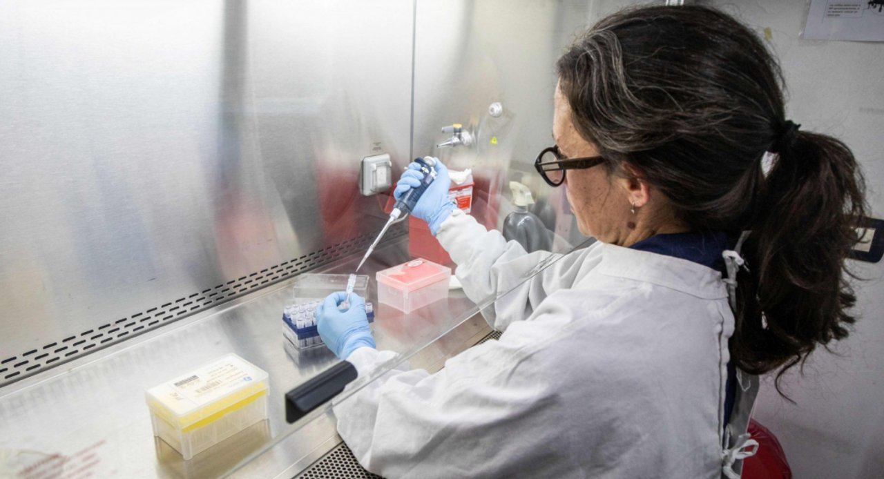 Argentina envía insumos a Europa para combatir el hantavirus