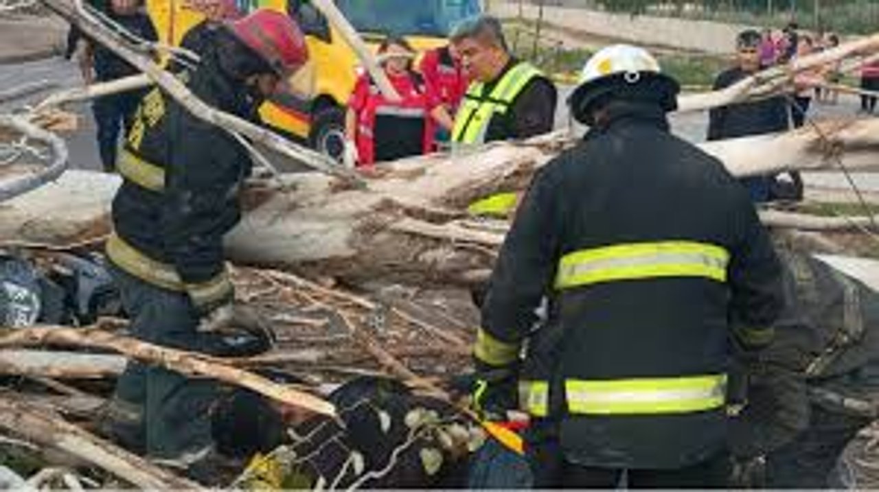 Tragedia en Mendoza: un motociclista murió y otro resultó herido al desplomarse un árbol