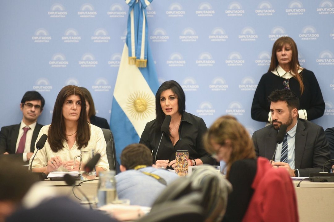 Debate en Diputados por la adhesión al tratado internacional de patentes