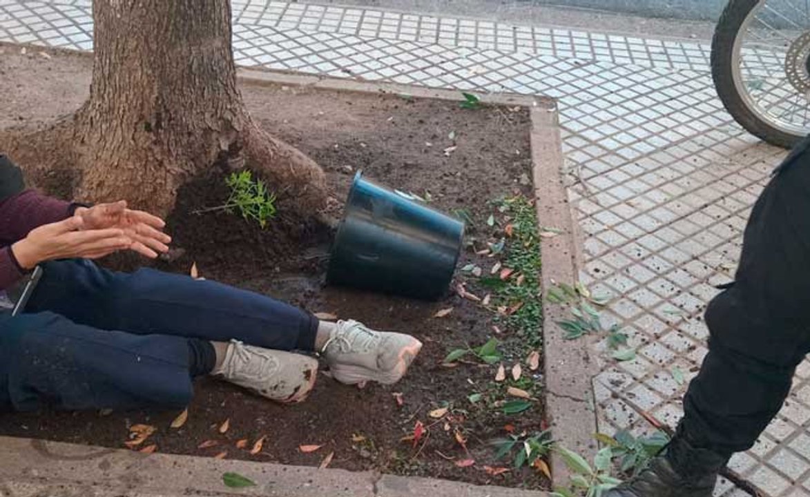Una mujer herida tras caerle una maceta con marihuana en Rosario