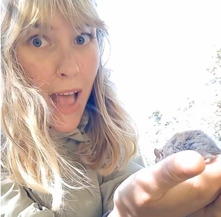 Influencer acaricia un ratón potencialmente peligroso en Bariloche y se vuelve viral