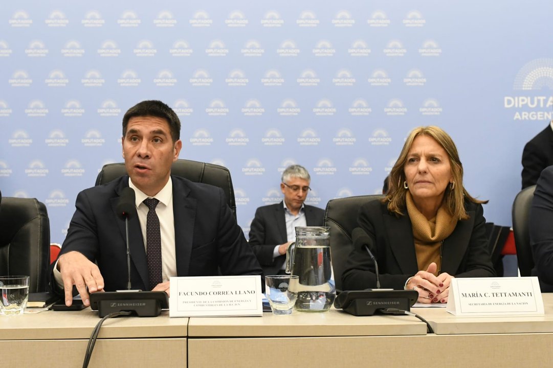 Debate en Diputados por el nuevo régimen de zona fría