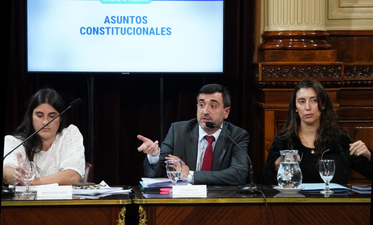 Debate en el Senado sobre reforma electoral y eliminación de las PASO