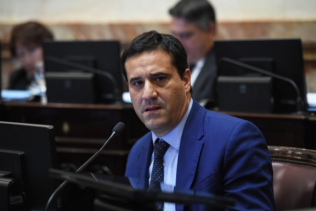 Homenaje en el Senado de la Nación a Luis Brandoni