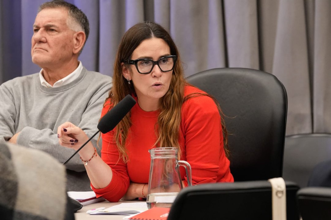 Medidor domiciliario de gas en zona fría
