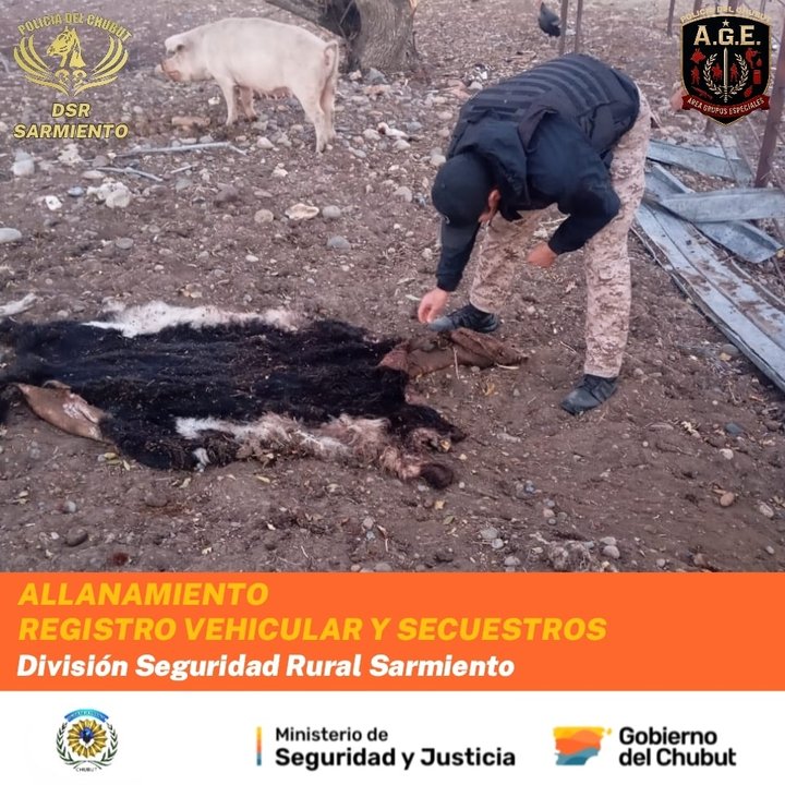 Secuestro de carne y elementos de faena ilegal en un campo de Chubut
