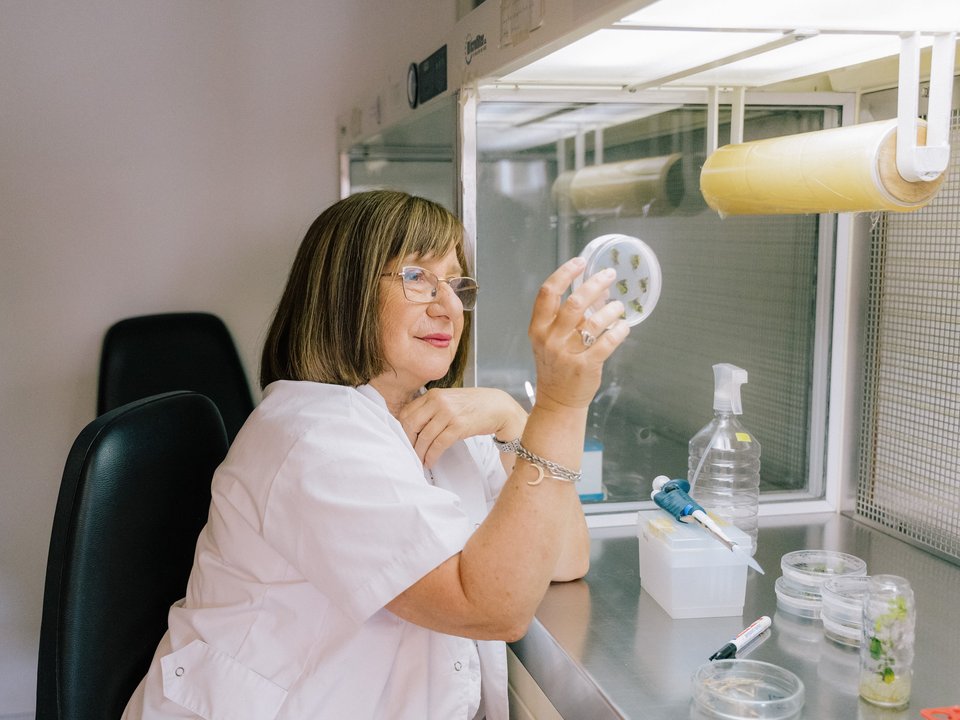 La científica argentina Raquel Chan, investigadora del CONICET, distinguida con el premio L’Oréal-UNESCO Por las Mujeres en la Ciencia