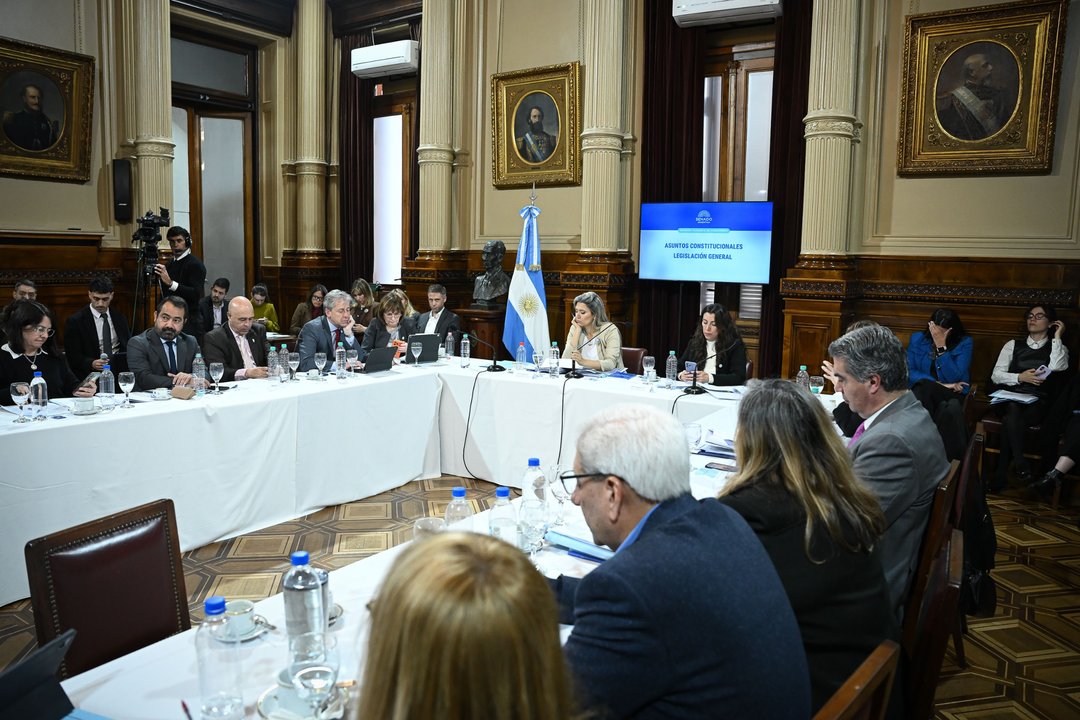 Senado avanza con la reforma de salud mental que habilita internaciones “no voluntarias” e incorpora como enfermedad adicciones