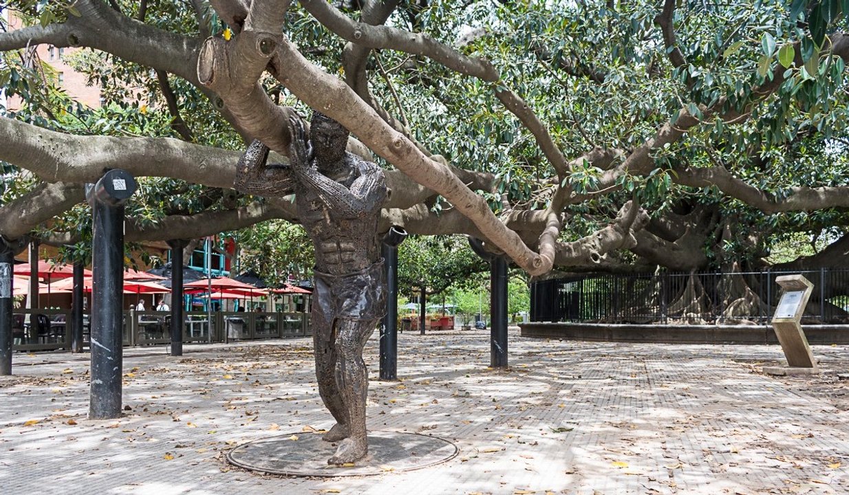 El ojo del arte: la escultura de Arbiza Brianza que asume la carga de un árbol con historia