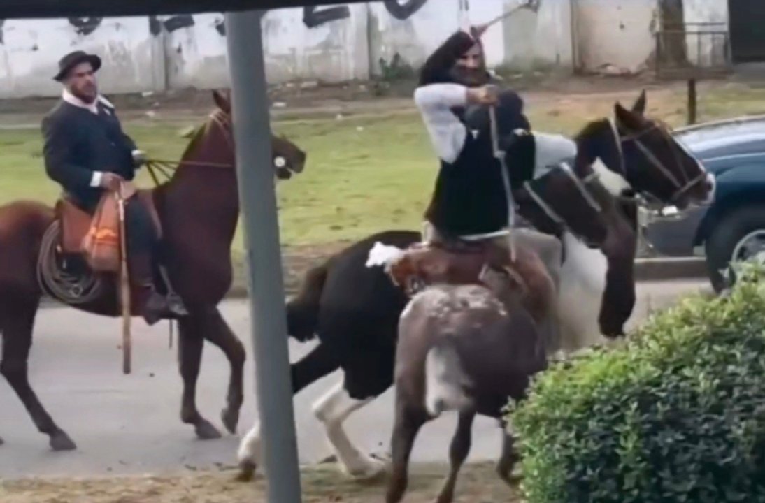 Jinetes enfrentados a rebencazos durante un desfile patrio en Berazategui