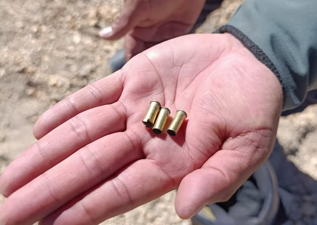 Operativo ambiental por caza furtiva de vicuñas en Jujuy