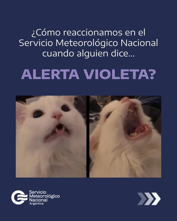 Los memes con los que el SMN aclaró la confusión entre las alertas y advertencias por niebla