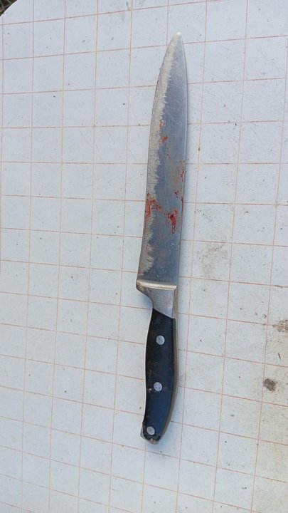 Femicidio en Temperley: hombre asesina a su pareja antes de la llegada de la Policía