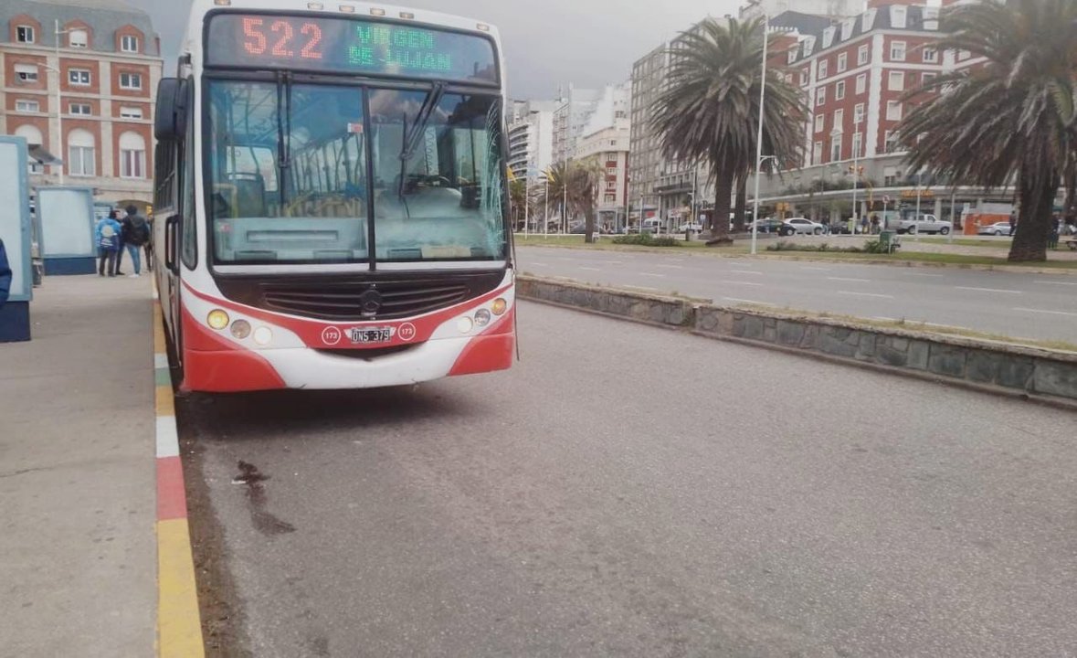 Colectivo urbano en Mar del Plata