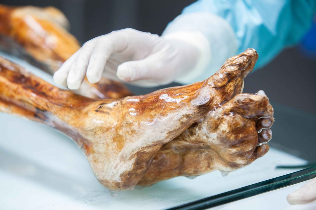 Representación de la momia Ötzi, el hombre de hielo